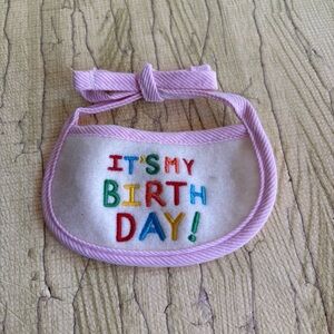 Pet costume Halloween happy birthday bib collar